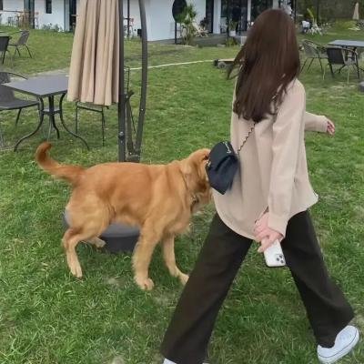 奴隶的梦想